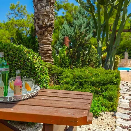 Βίλα Pine Retreat Αργάκα